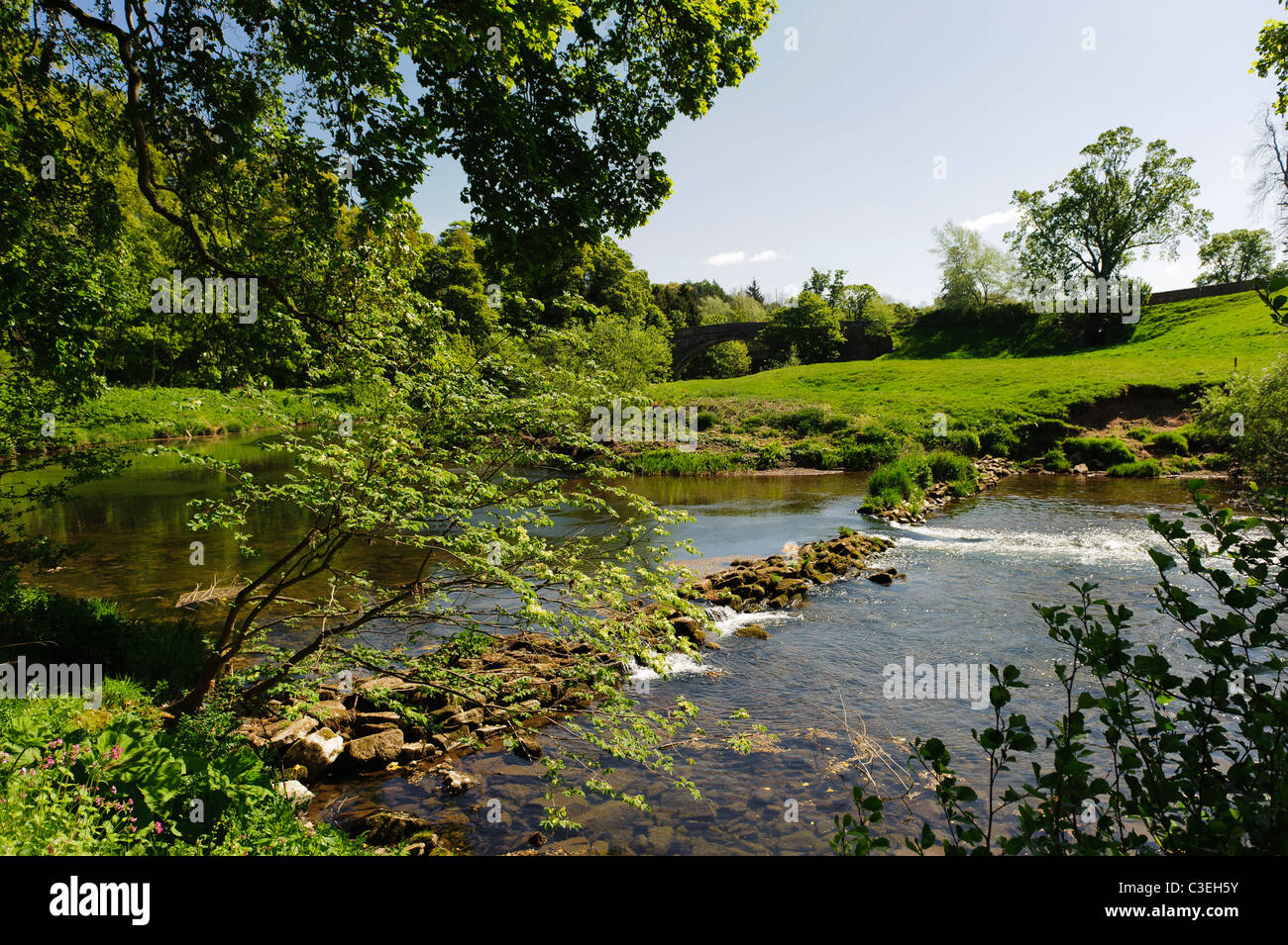River Till and Twizel Bridge, Northumberland Stock Photo Alamy