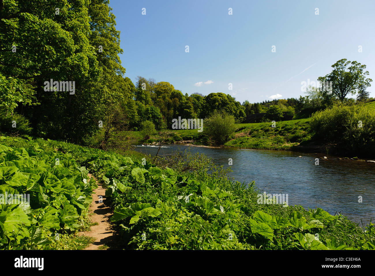 River Till and Twizel Bridge, Northumberland Stock Photo Alamy