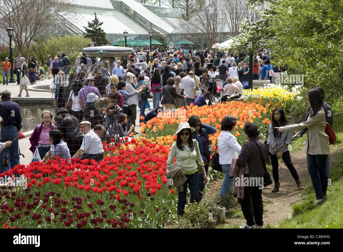 Crowds of people pour into the Brooklyn Botanic Garden's  'Sakura Matsuri,' the annual Cherry Blossom Festival in Brooklyn, NY Stock Photo