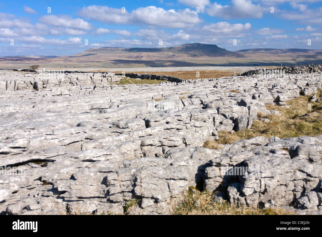 Limestone pavement and Pen-y-ghent Yorkshire Dales UK Stock Photo
