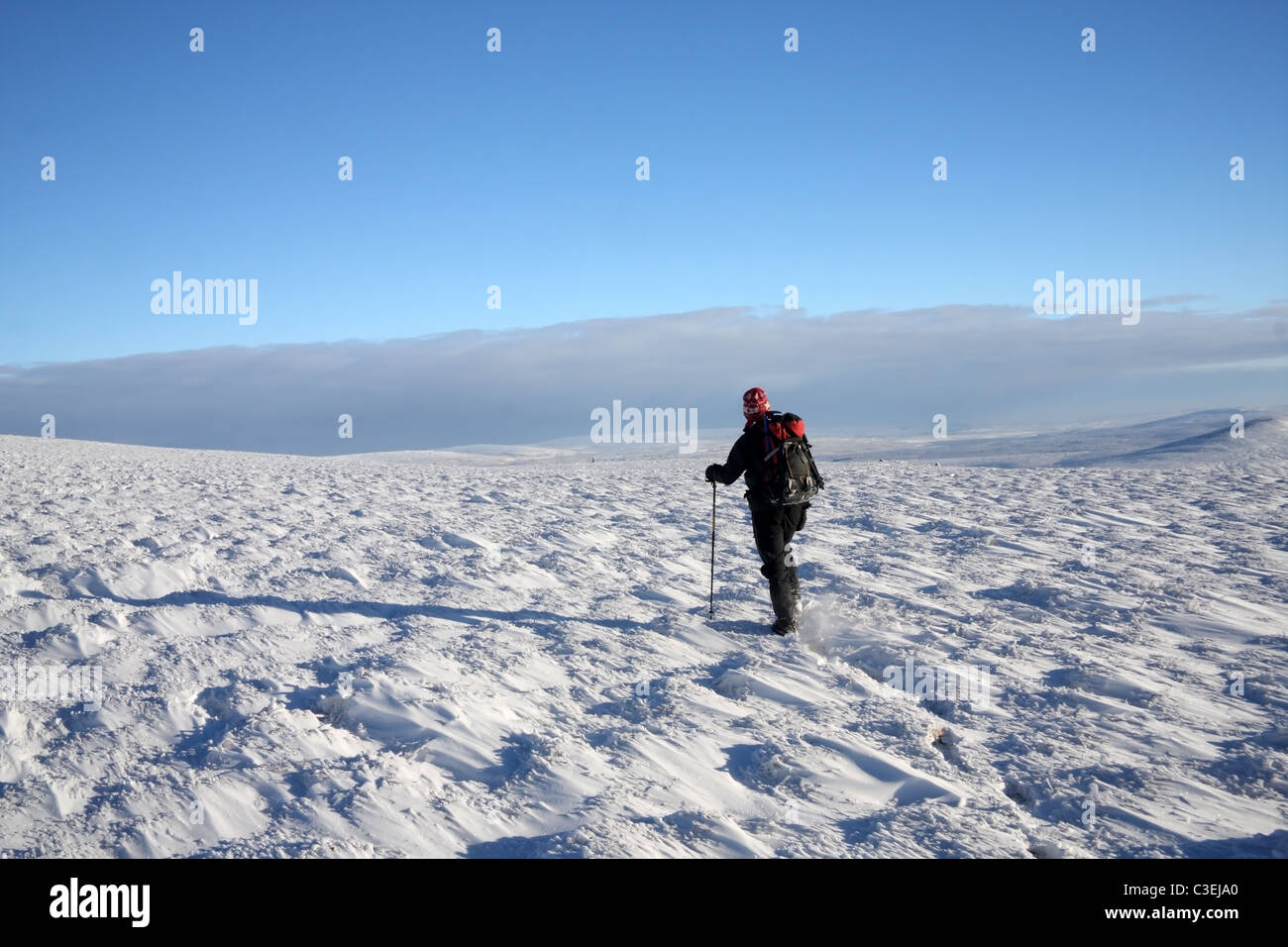 Hill Walker on the Summit Plateau of Cross Fell in Winter Pennines Northern England UK Stock