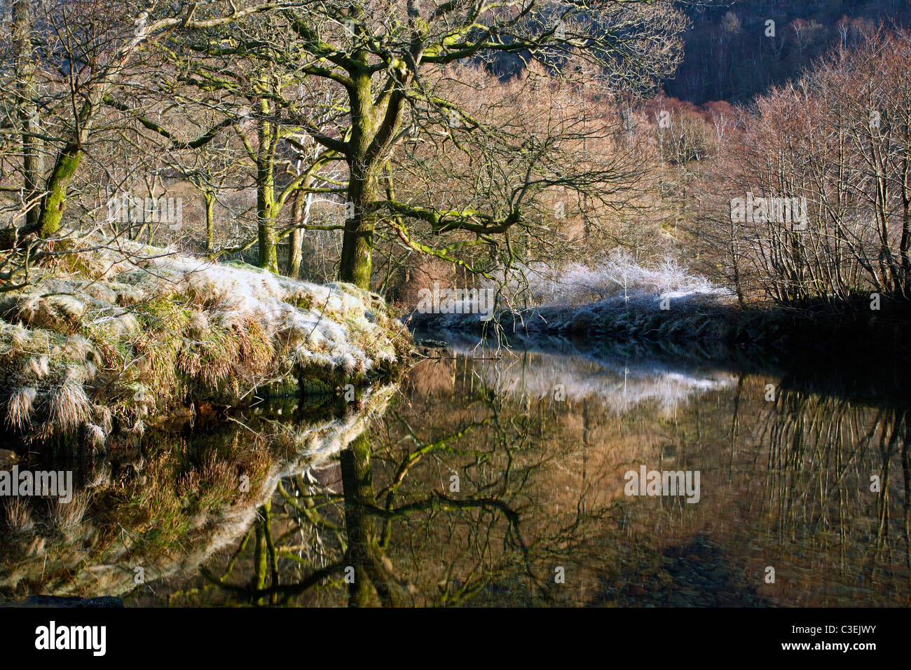 Frost-covered trees reflected in the still waters of the River Derwent in winter near Rosthwaite in the Lake District of E Stock Photo