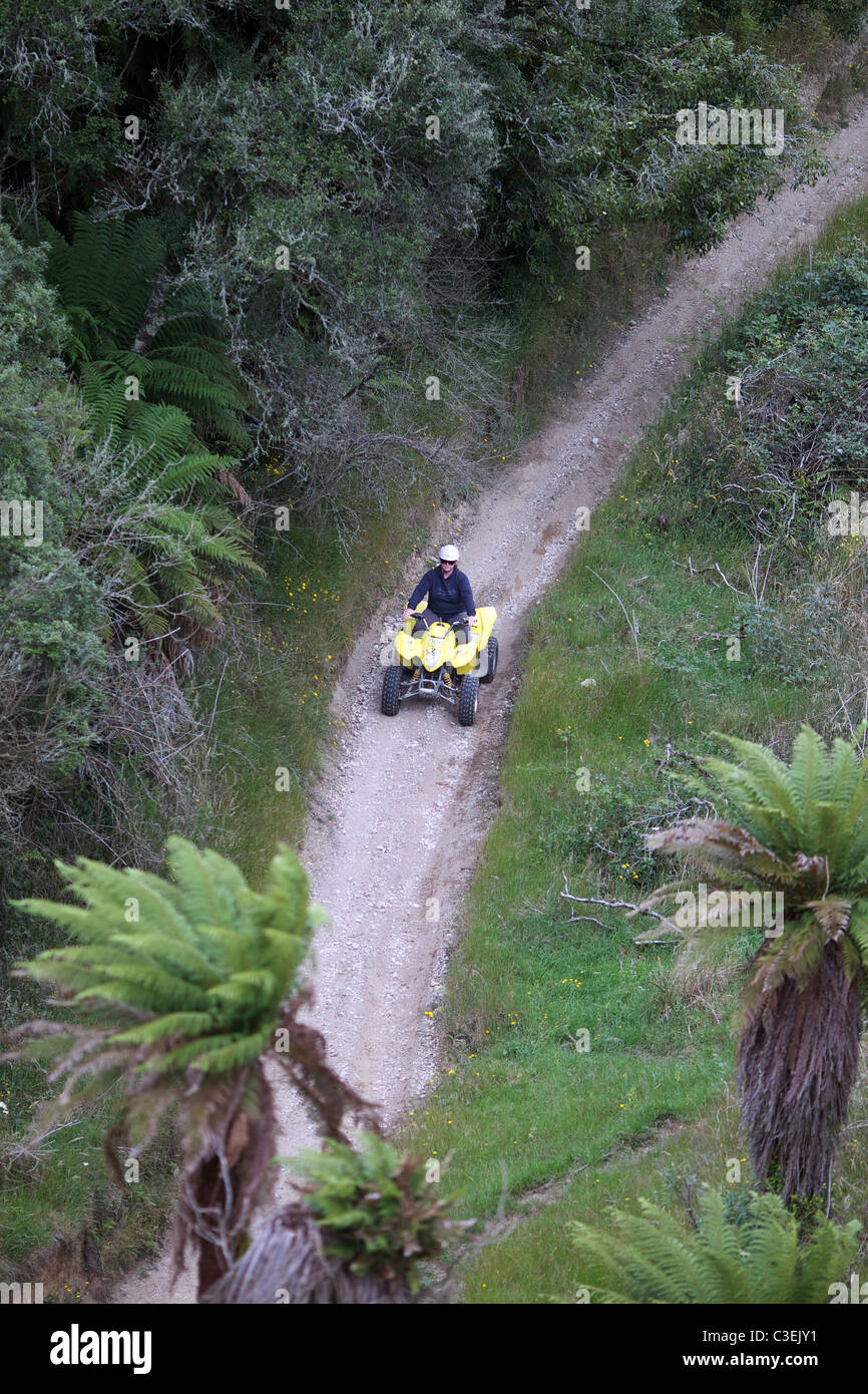 Quad bikers in action on a quad bike course near Taupo with Taupo Quad Bikes. Taupo, North