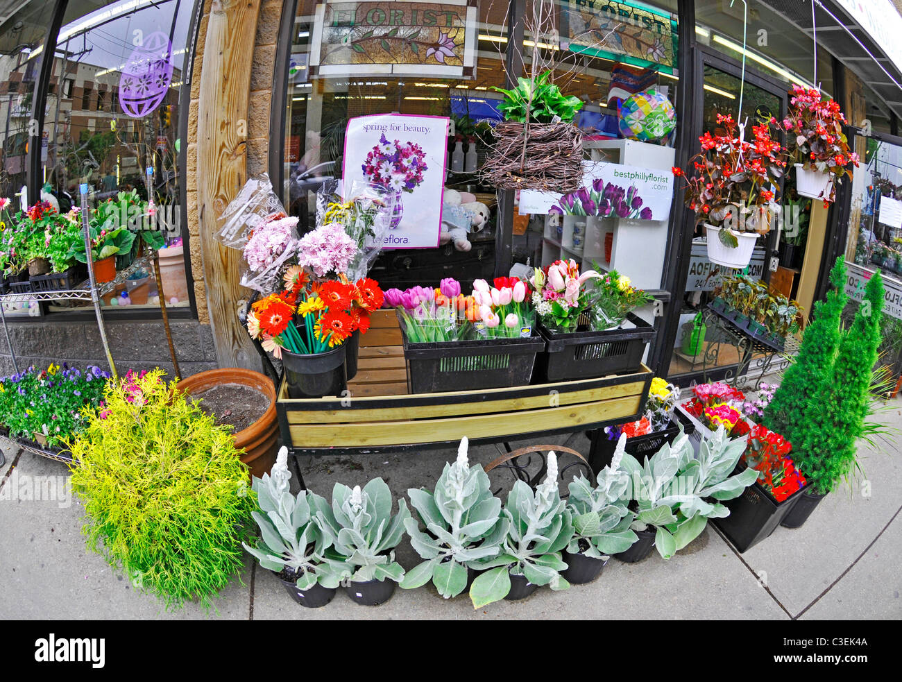 Showcase of flower shop on South Street Philadelphia, Pennsylvania, PA, USA Stock Photo