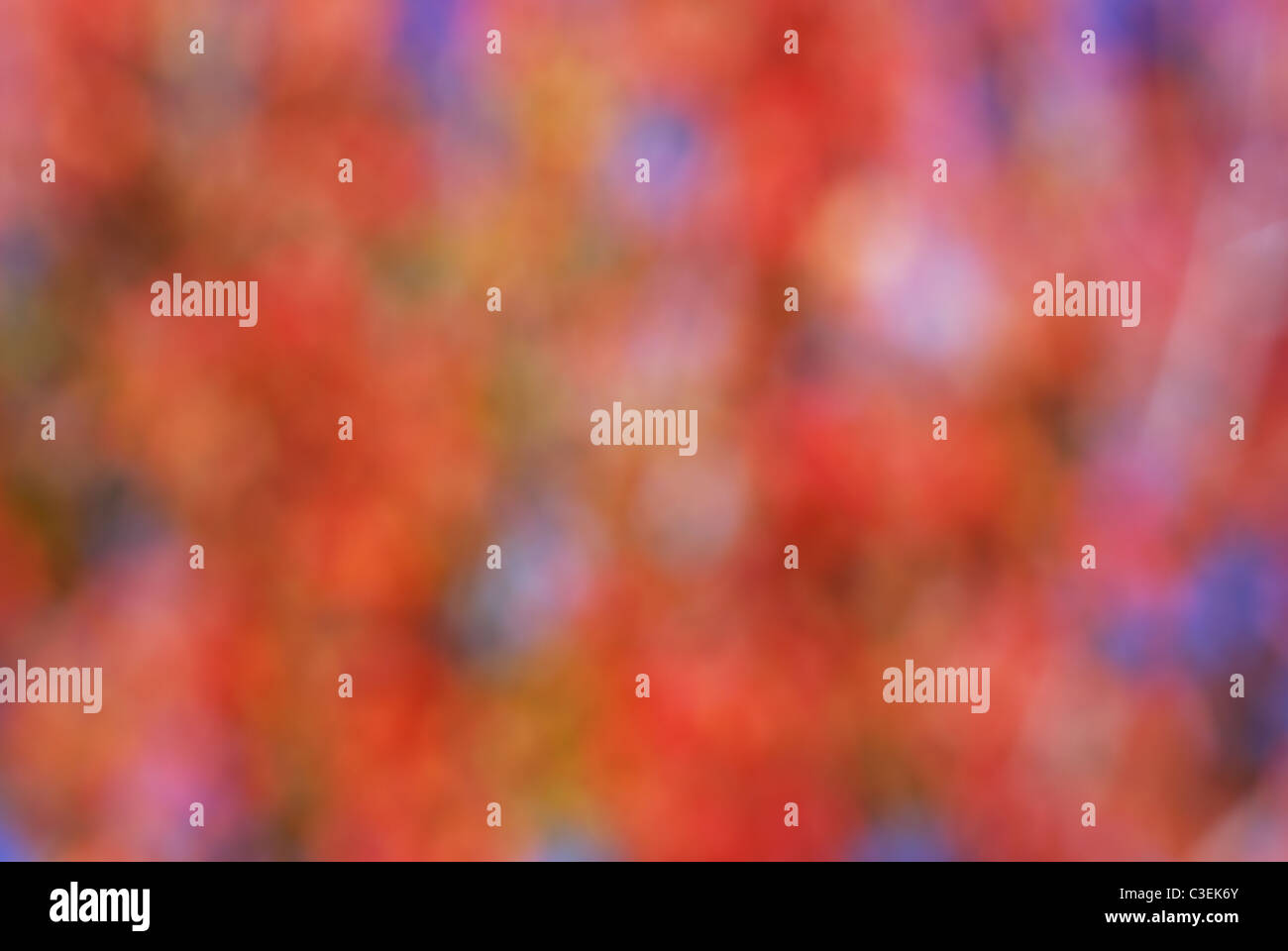 Abstract blurred red and blue tone background Stock Photo