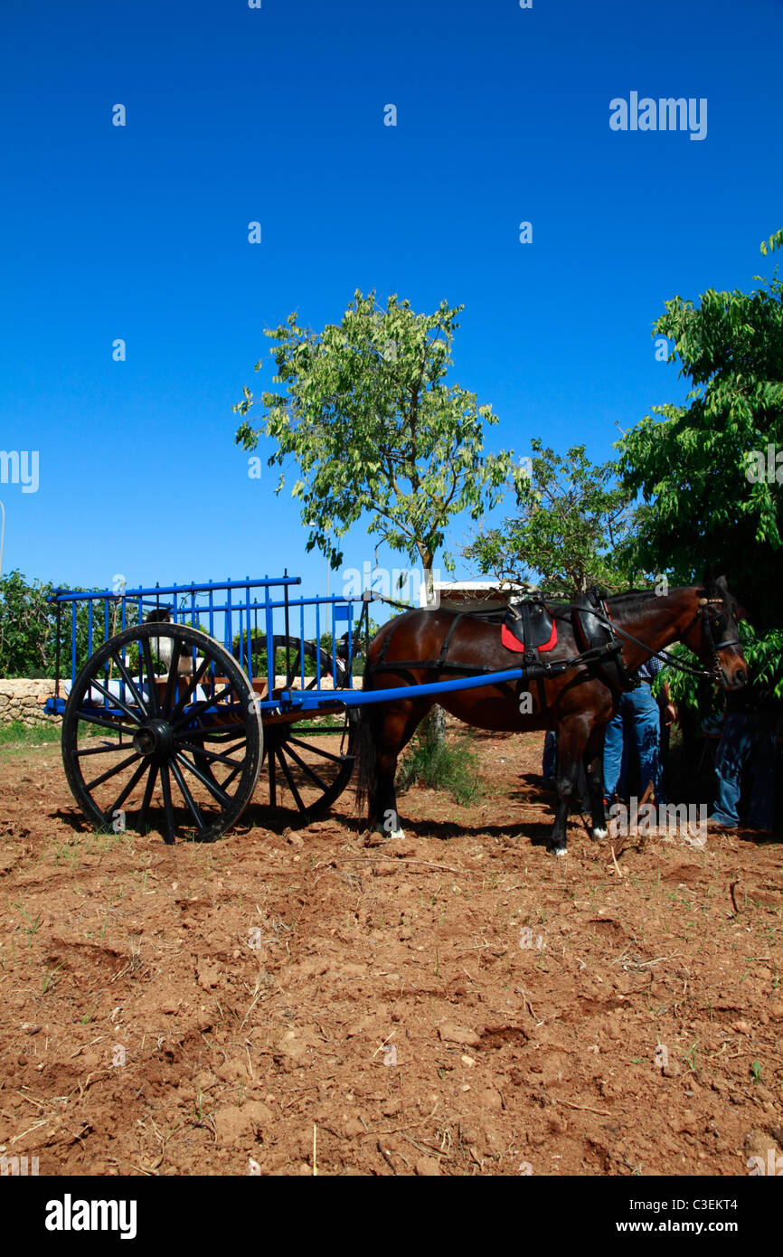 Typical Ibizan cart (Wagon), full view Stock Photo