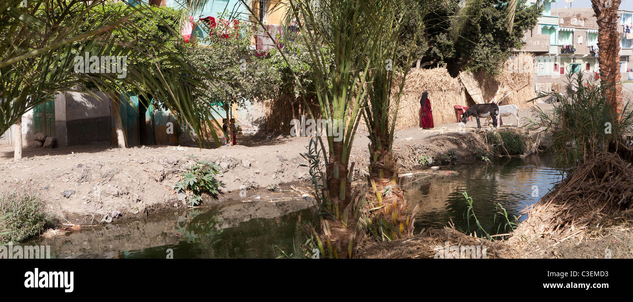 Traditional Egyptian houses along a shaded muddy canal bank, with reed fence, two donkeys, woman and children in front , Egypt Stock Photo