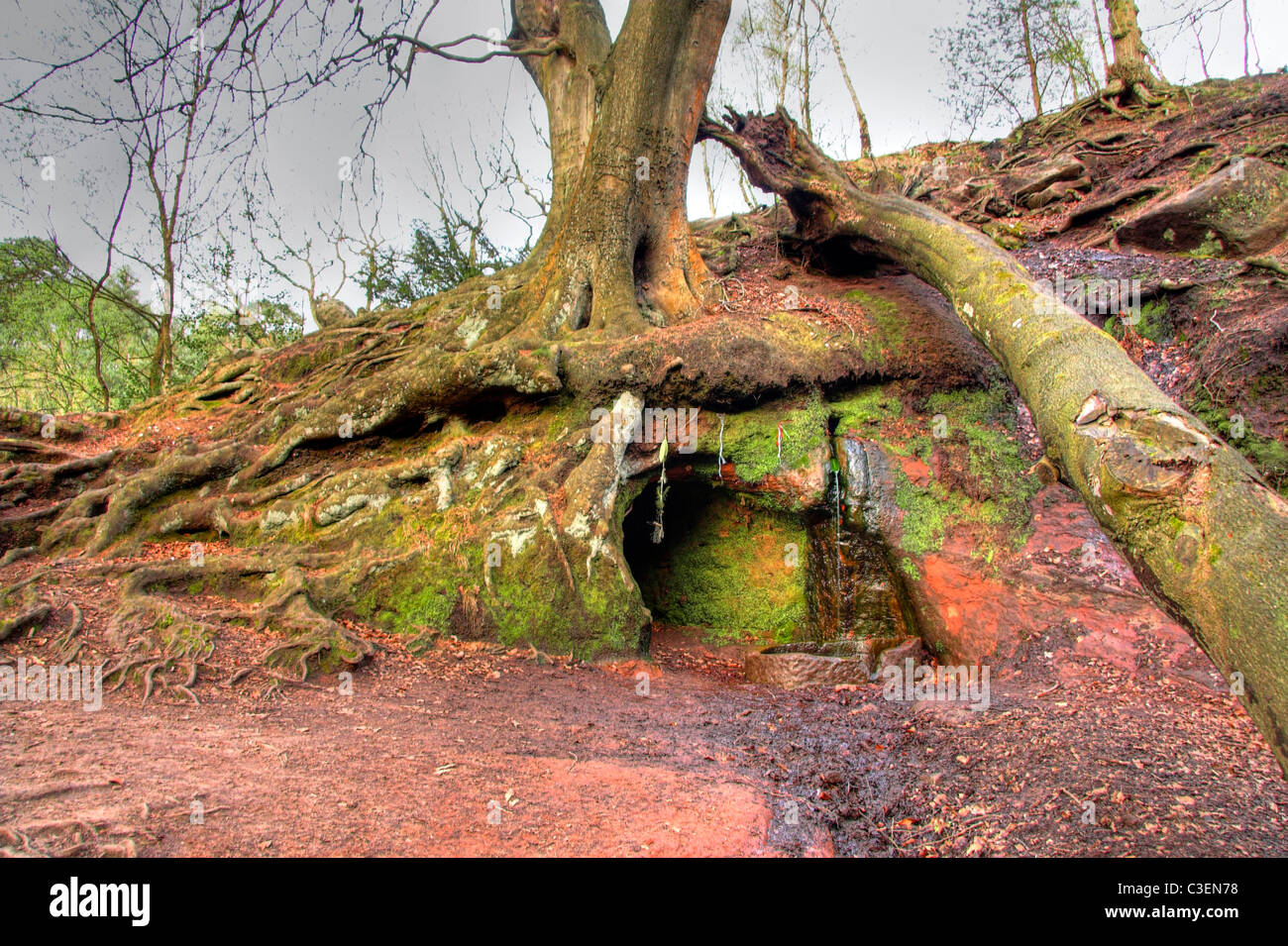Old mine entrance, The Edge, Alderley Edge, Cheshire, England, UK Stock