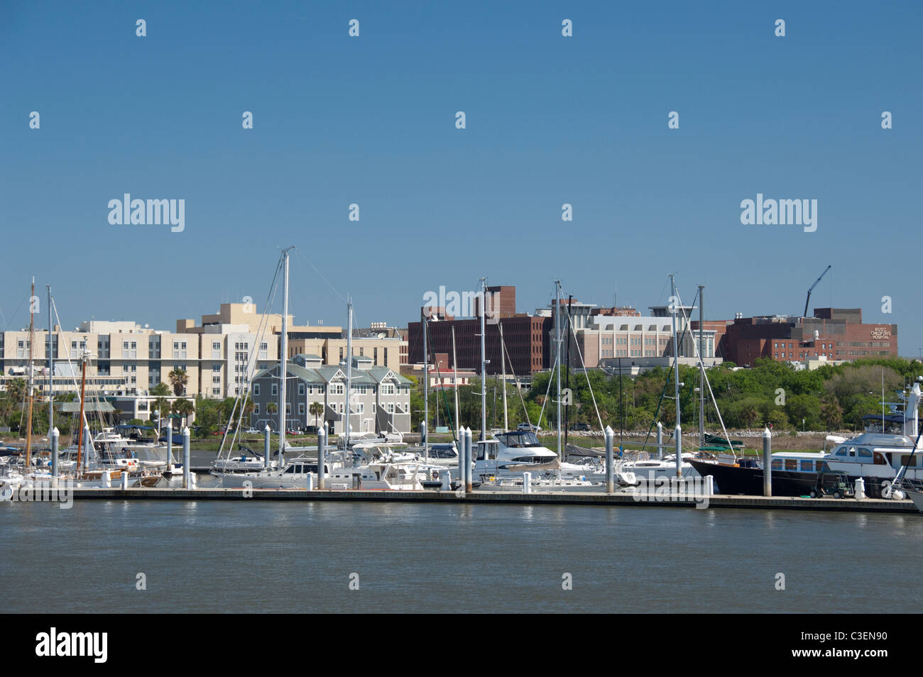 South Carolina, Charleston, City Marina located along the Ashley River