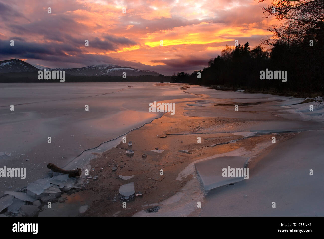 Winter sunset at Loch Morlich, Aviemore, Scotland, United Kingdom Stock Photo