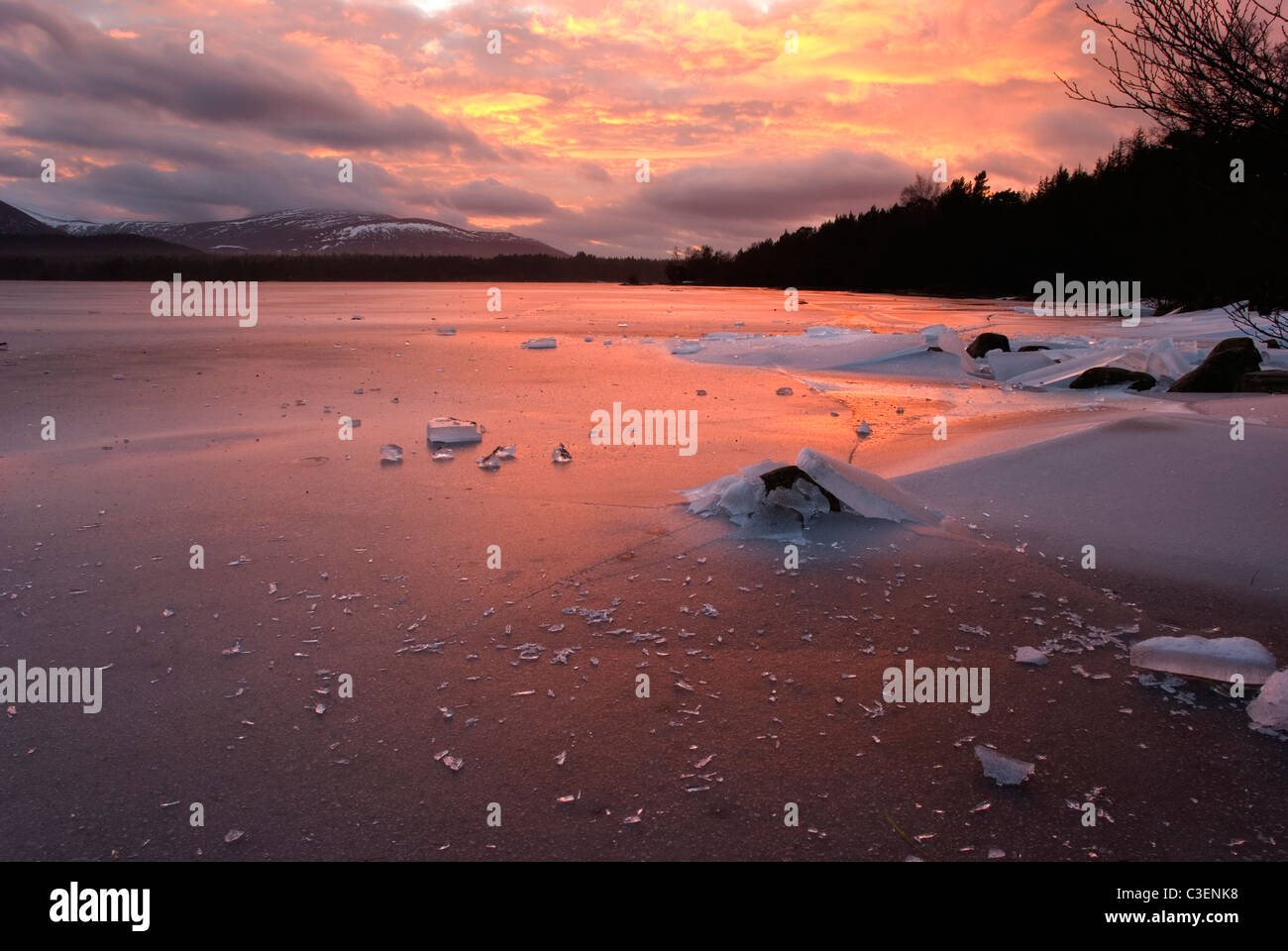 Winter sunset at Loch Morlich, Aviemore, Scotland, United Kingdom Stock Photo