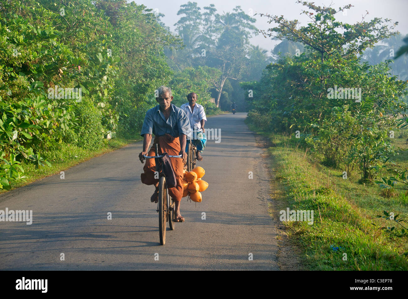 Coconut seller cycling to early morning market Southern Sri Lanka Stock Photo