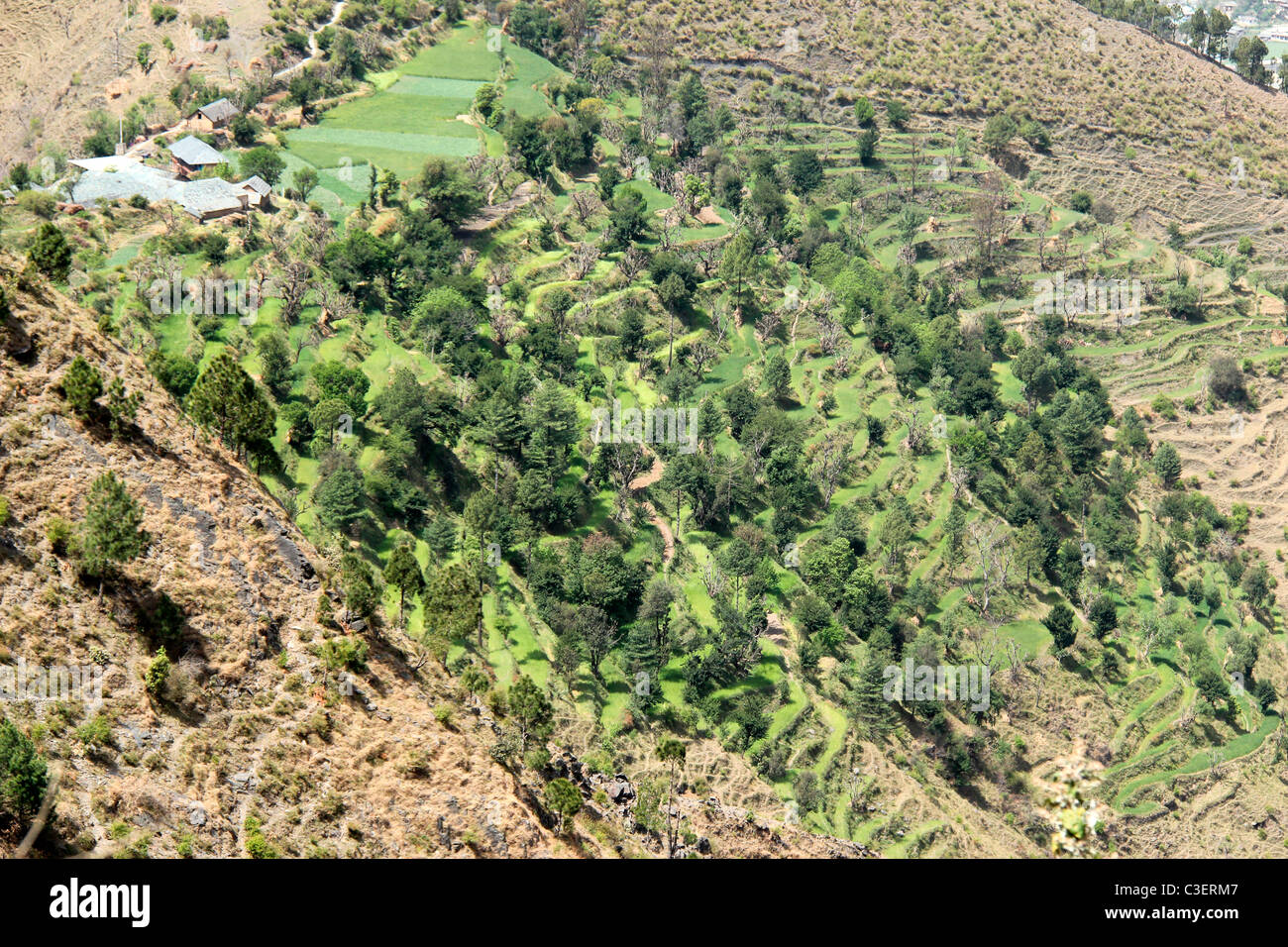 A view of hilly terrain of Himachal Pradesh, India Stock Photo