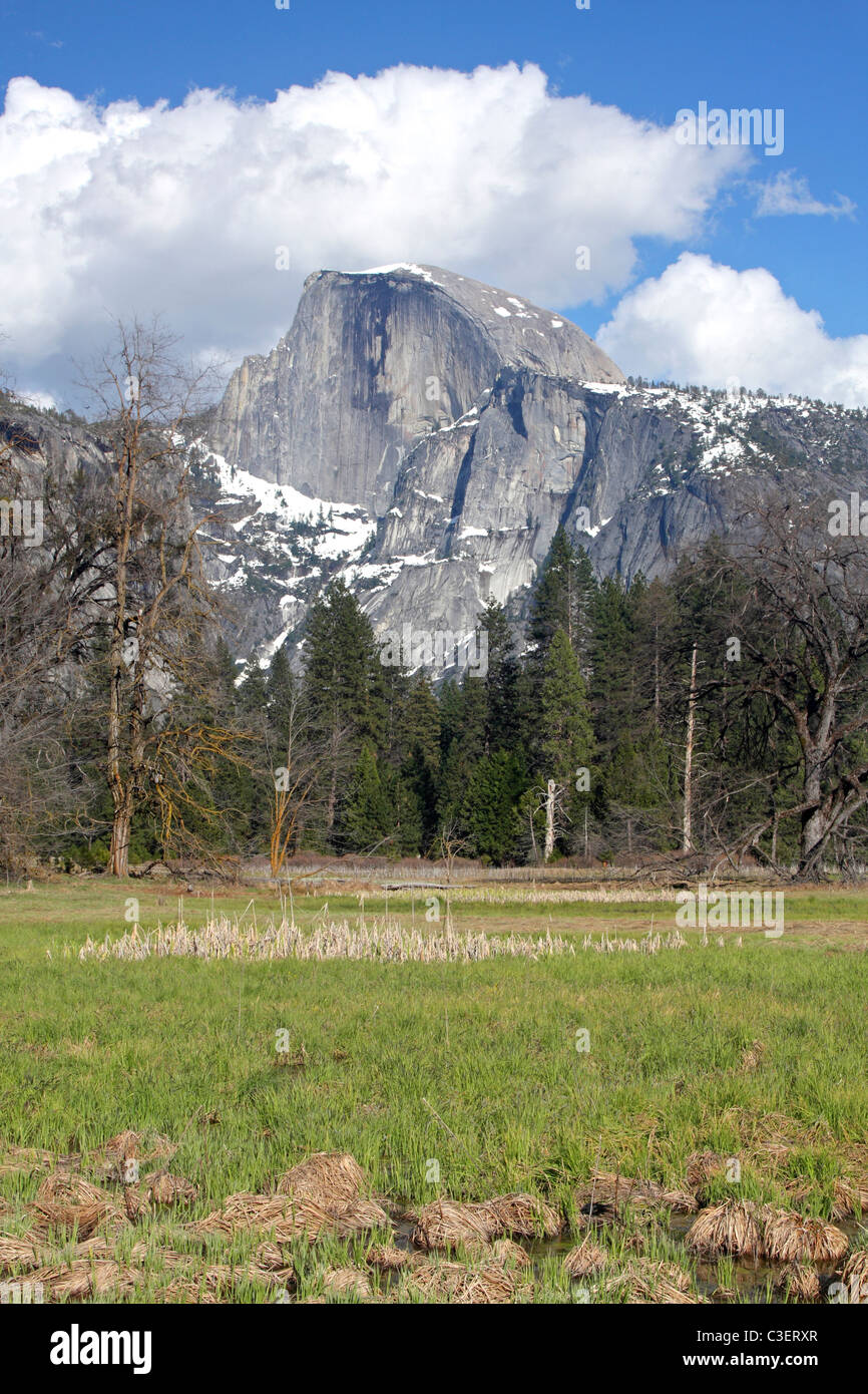 Half Dome in Yosemite National Park Stock Photo - Alamy