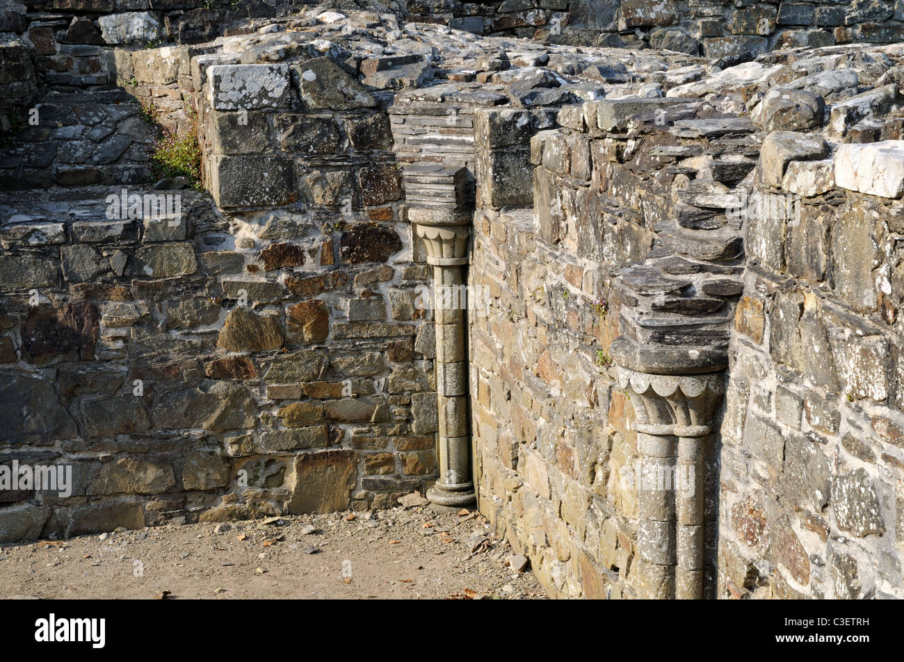 Pillars at the ruins of 12th Century St Dogmaels AbbeyPembrokeshire Wales Cymru UK GB Stock Photo