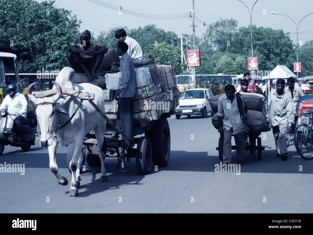 People carrying goods on a bullock