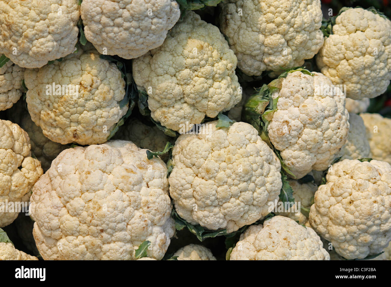 Cauliflower, Brassica oleracea var botrytis, Common vegetable in India Stock Photo
