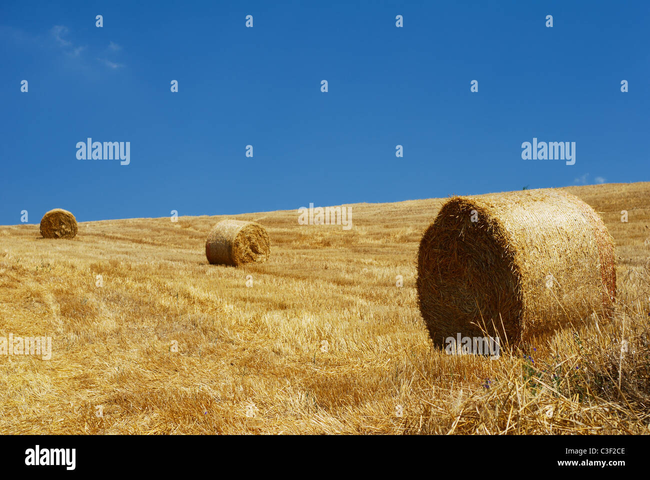 Straw bales in a line under clear blue sky Stock Photo - Alamy