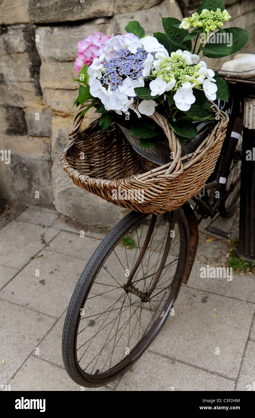 Flowers in bicycle basket Stock Photo Alamy