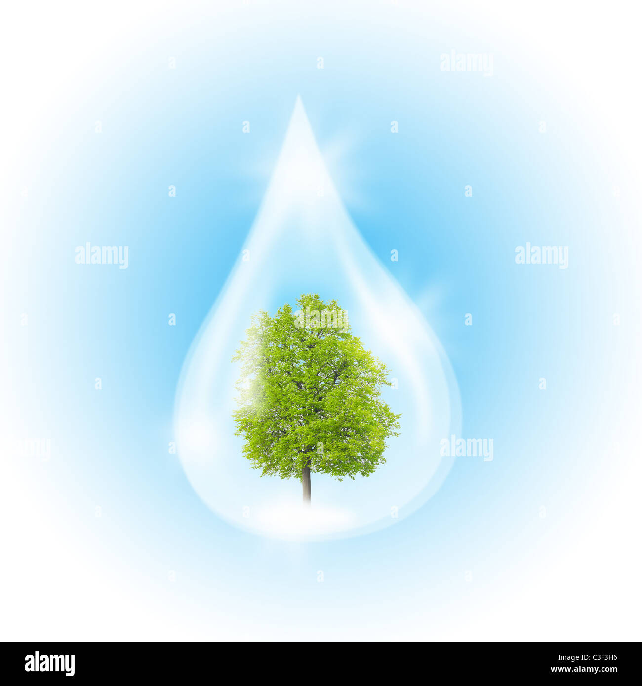 Green Tree inside a clean drop of water as a symbol of environmental protection. Stock Photo