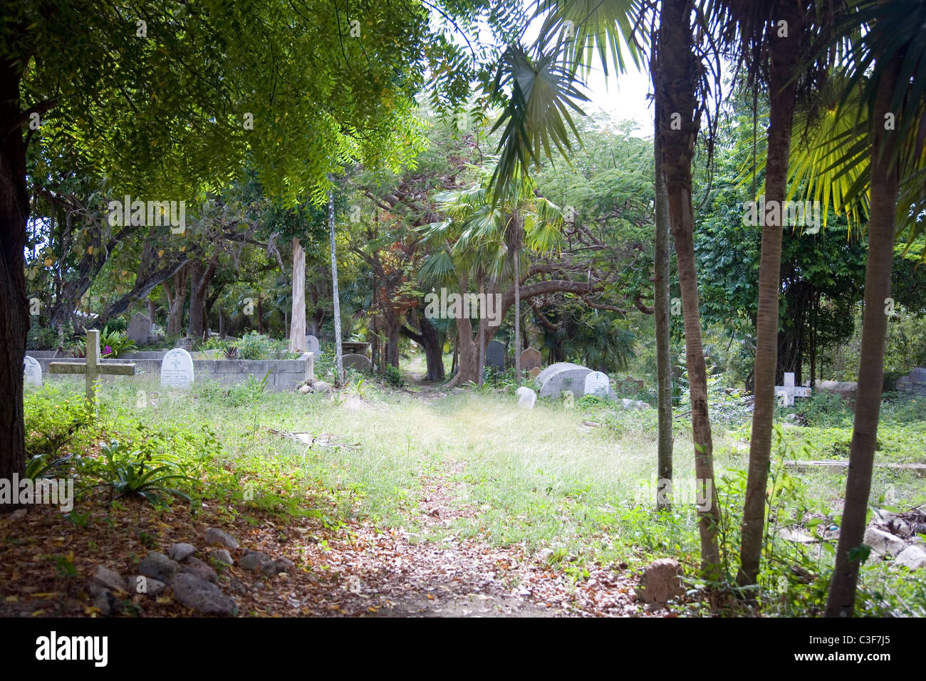 Antiguan Graveyard Stock Photo