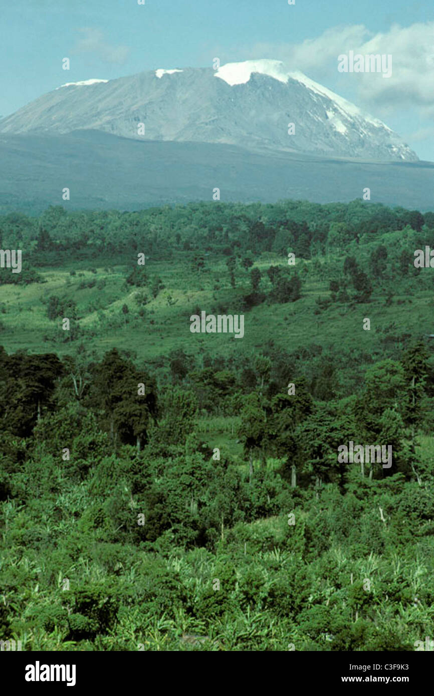 Tanzania Scenery With Kilimanjaro Mountain In The Background Stock tanzania-scenery-with-kilimanjaro-mountain-in-the-background-stock