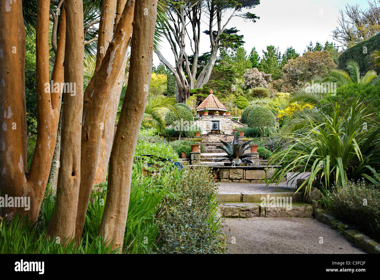 The agave fountain and pool on steps leading to the shell grotto at Tresco Abbey gardens on the Isles of Scilly Stock Photo