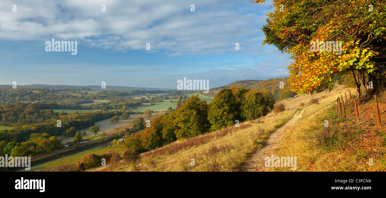 Panoramic autumn view from Denbies Hillside Dorking North Downs Surrey Stock Photo