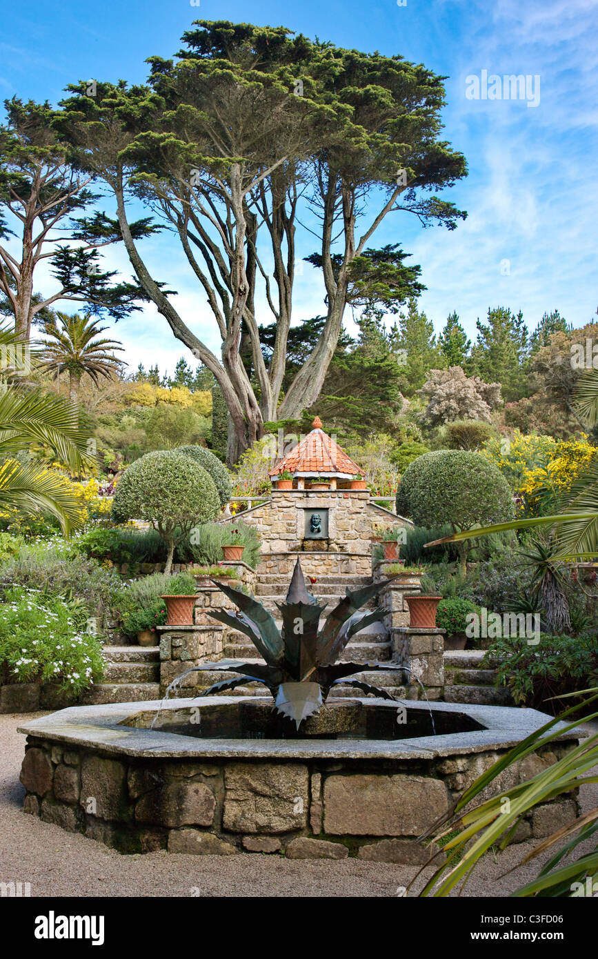 The agave fountain and pool on the steps leading to the shell grotto at Tresco Abbey gardens on the Isles of Scilly Stock Photo