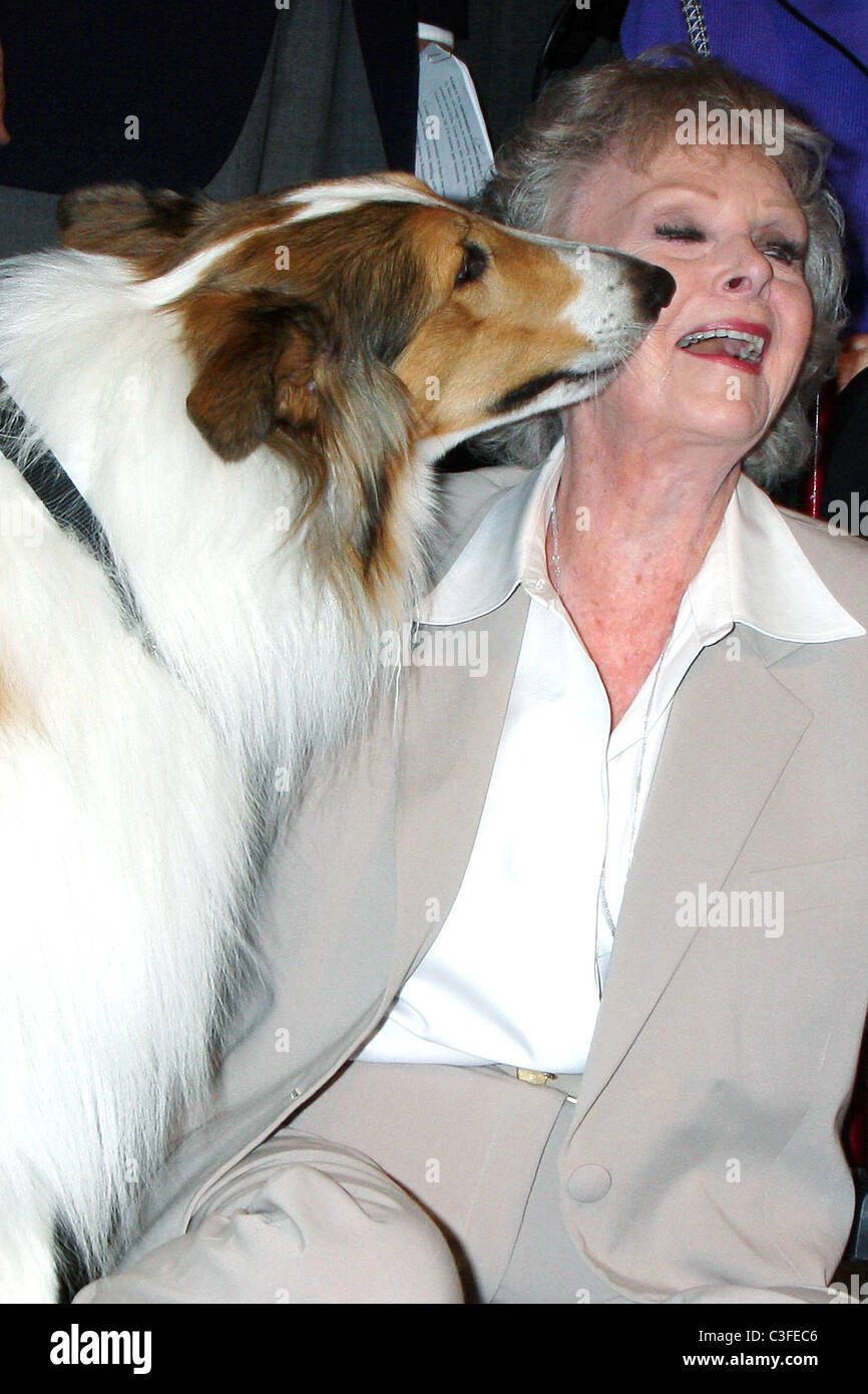 LASSIE : : Movies & TV