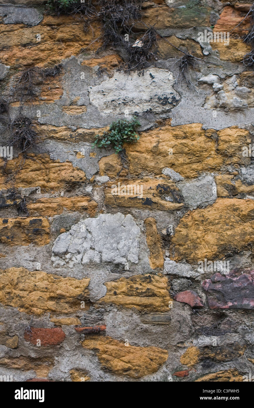 Old stone wall overgrown grass hi-res stock photography and images - Alamy