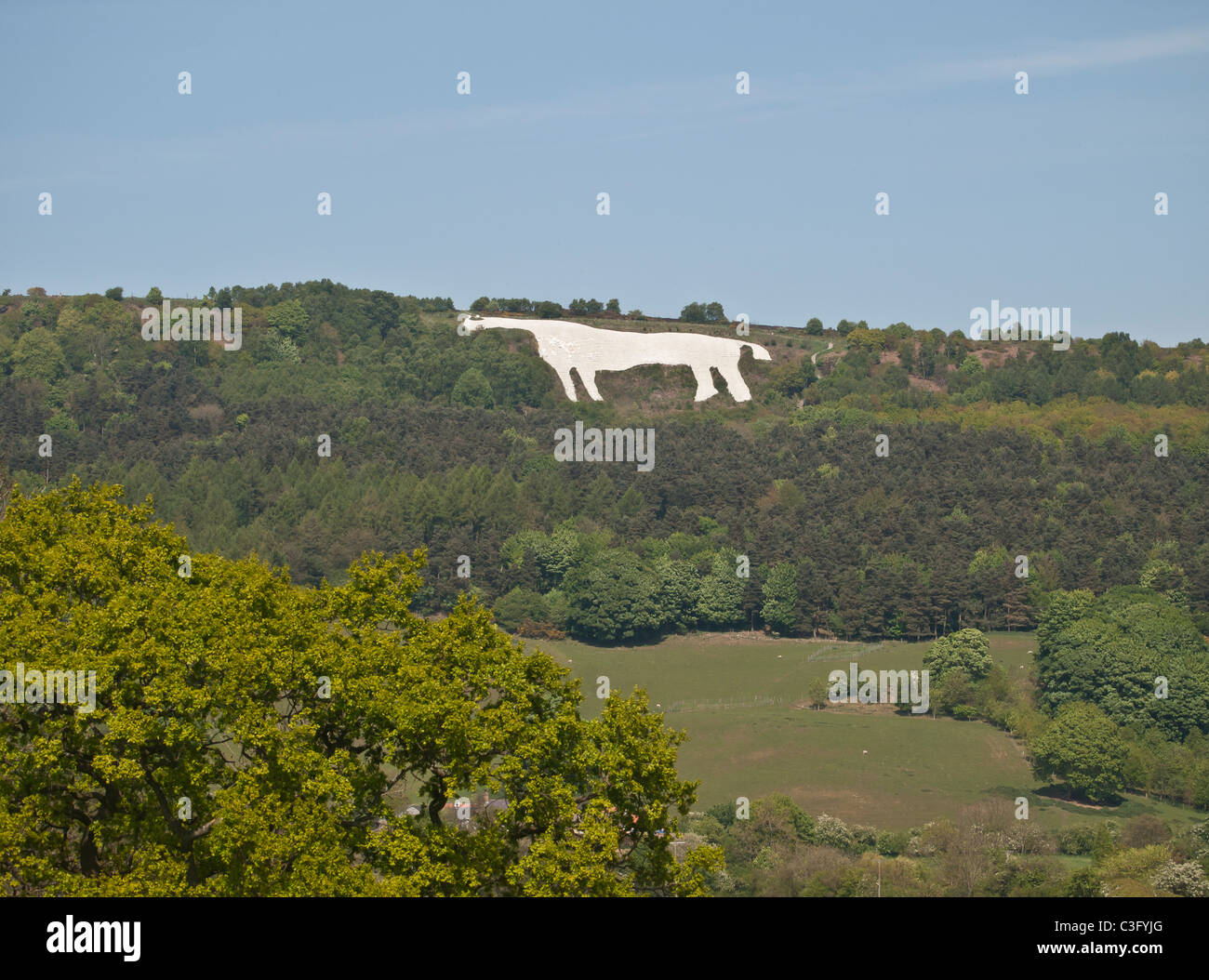 Chalk horse uk hires stock photography and images Alamy