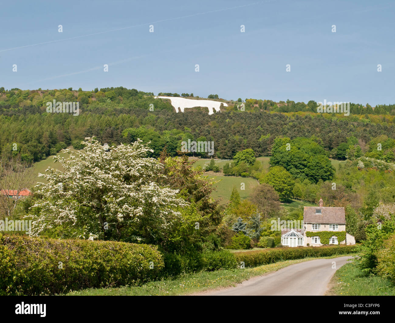 White horse of kilburn hires stock photography and images Alamy