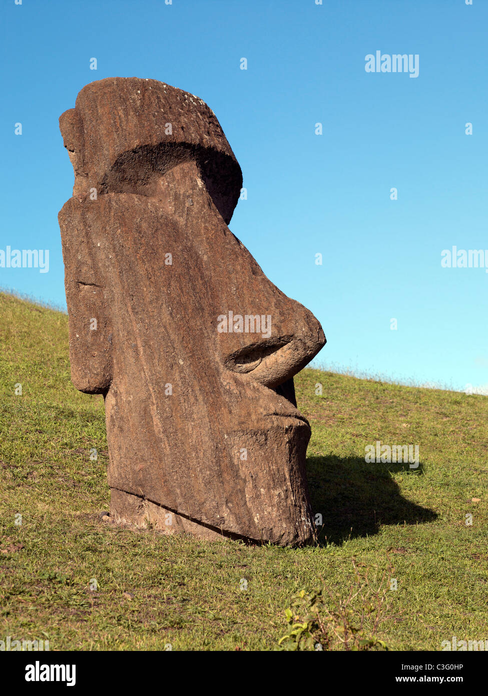 Moai buried up to the neck on the slopes of Rano Raraku, Easter Island