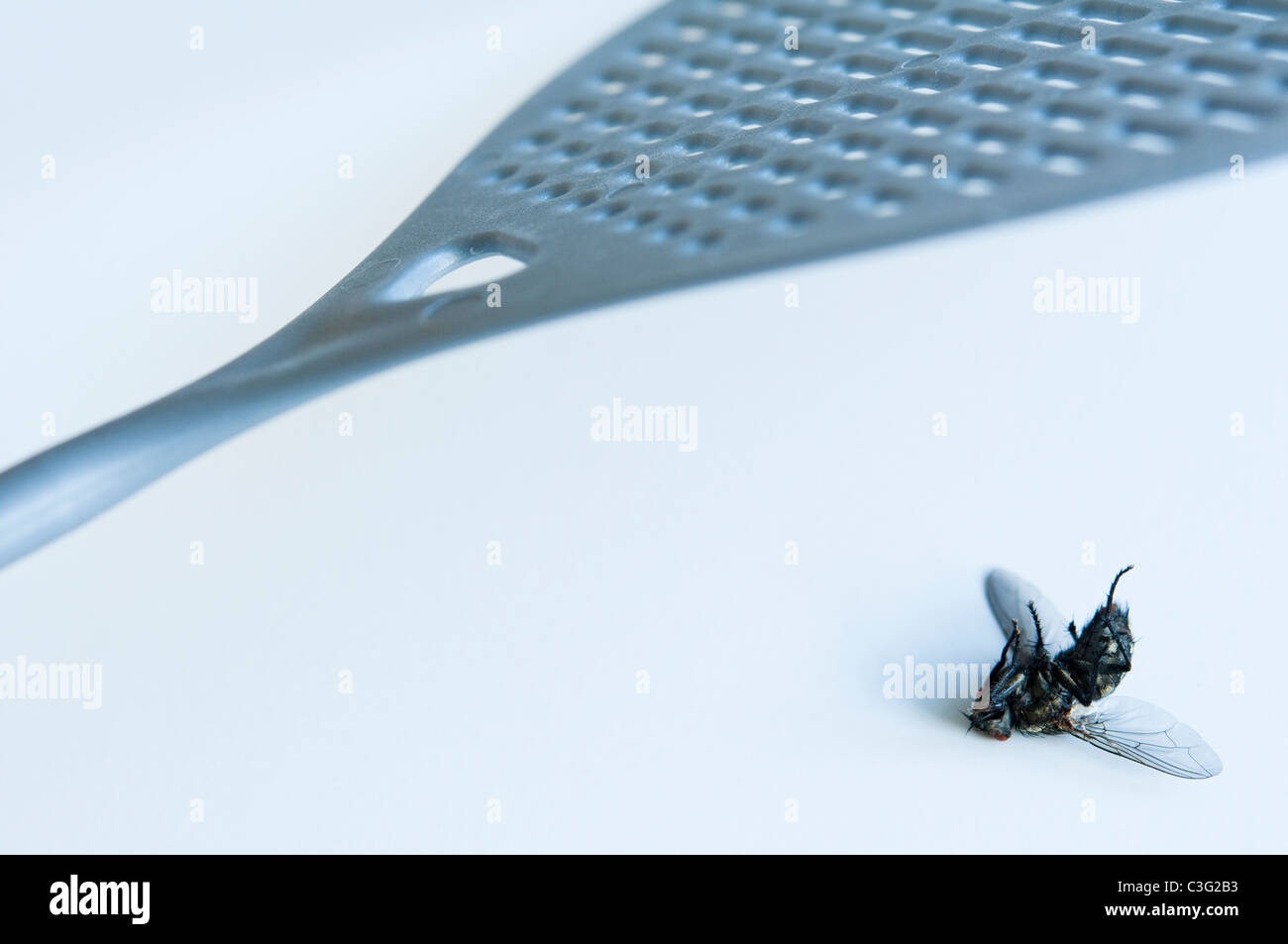 Swatting fly hires stock photography and images Alamy