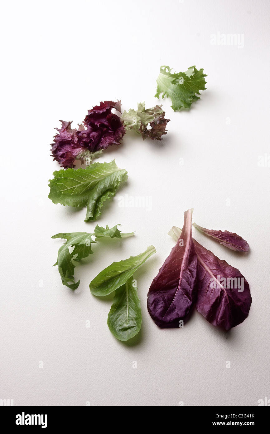 Salad greens Stock Photo