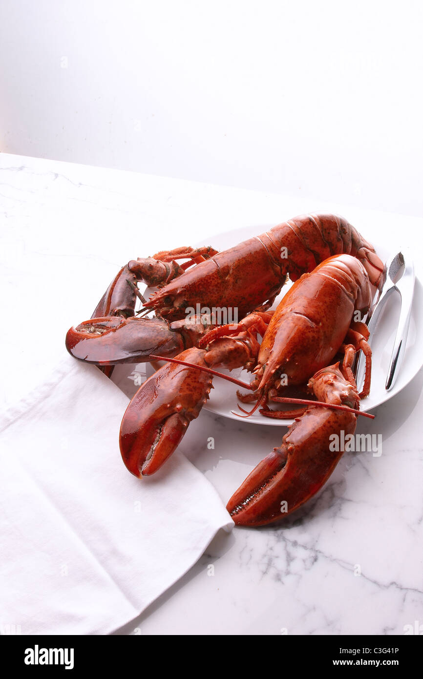 Lobsters Stock Photo