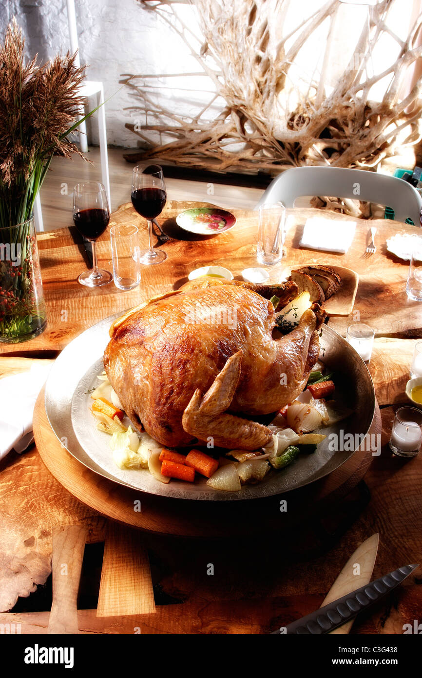Turkey bird poultry hi-res stock photography and images - Alamy