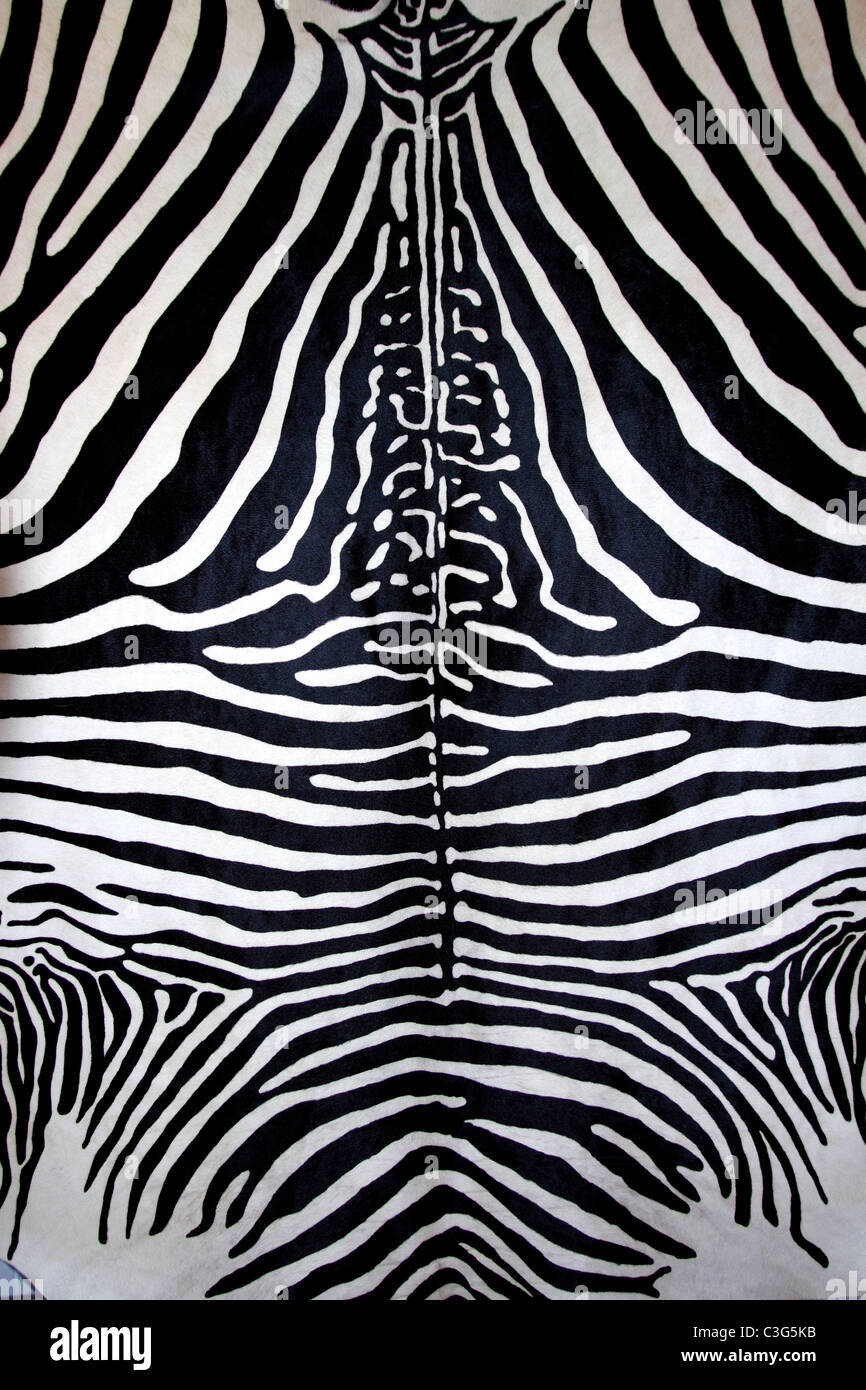 animal zebra skin black and white fur stripes leather background Stock Photo