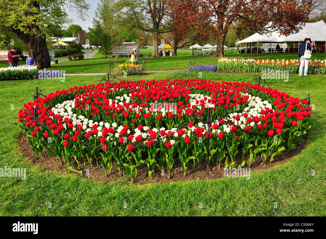 Albany Tulip Festival, New York Stock Photo Alamy