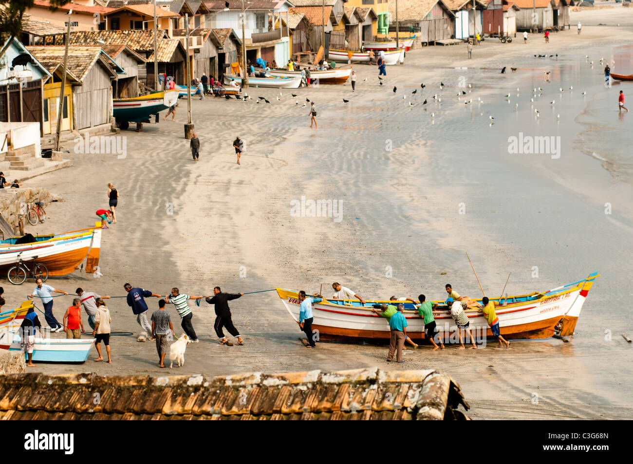 top view of local fisherman pulling their fishing boats at Garopaba beach, Santa Catarina state, south Brazil Stock Photo