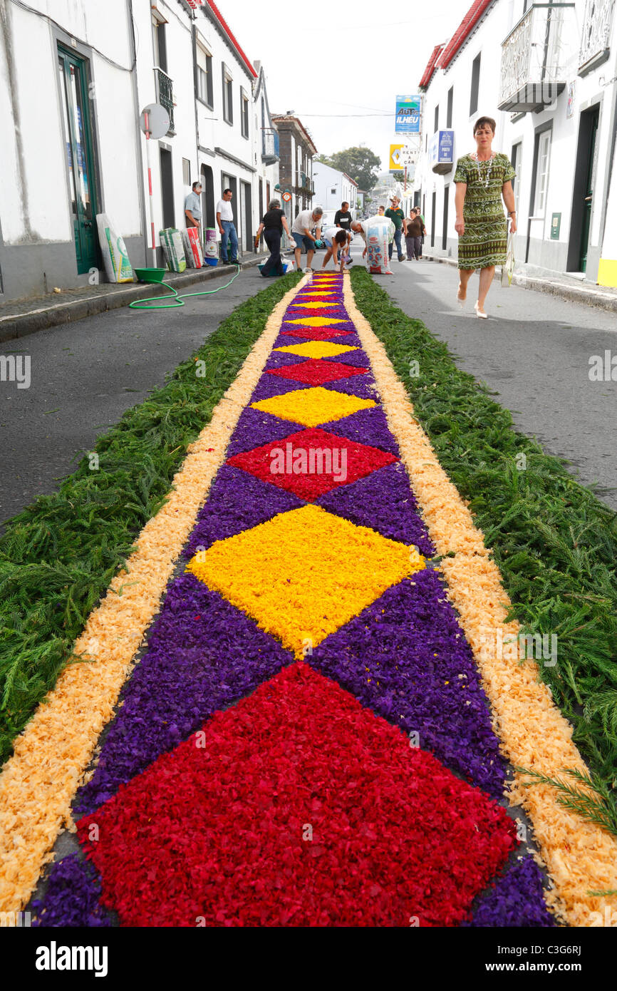 People making flower carpets for the Senhor Bom Jesus da Pedra fest. Vila Franca do Campo, Azores islands, Portugal. Stock Photo