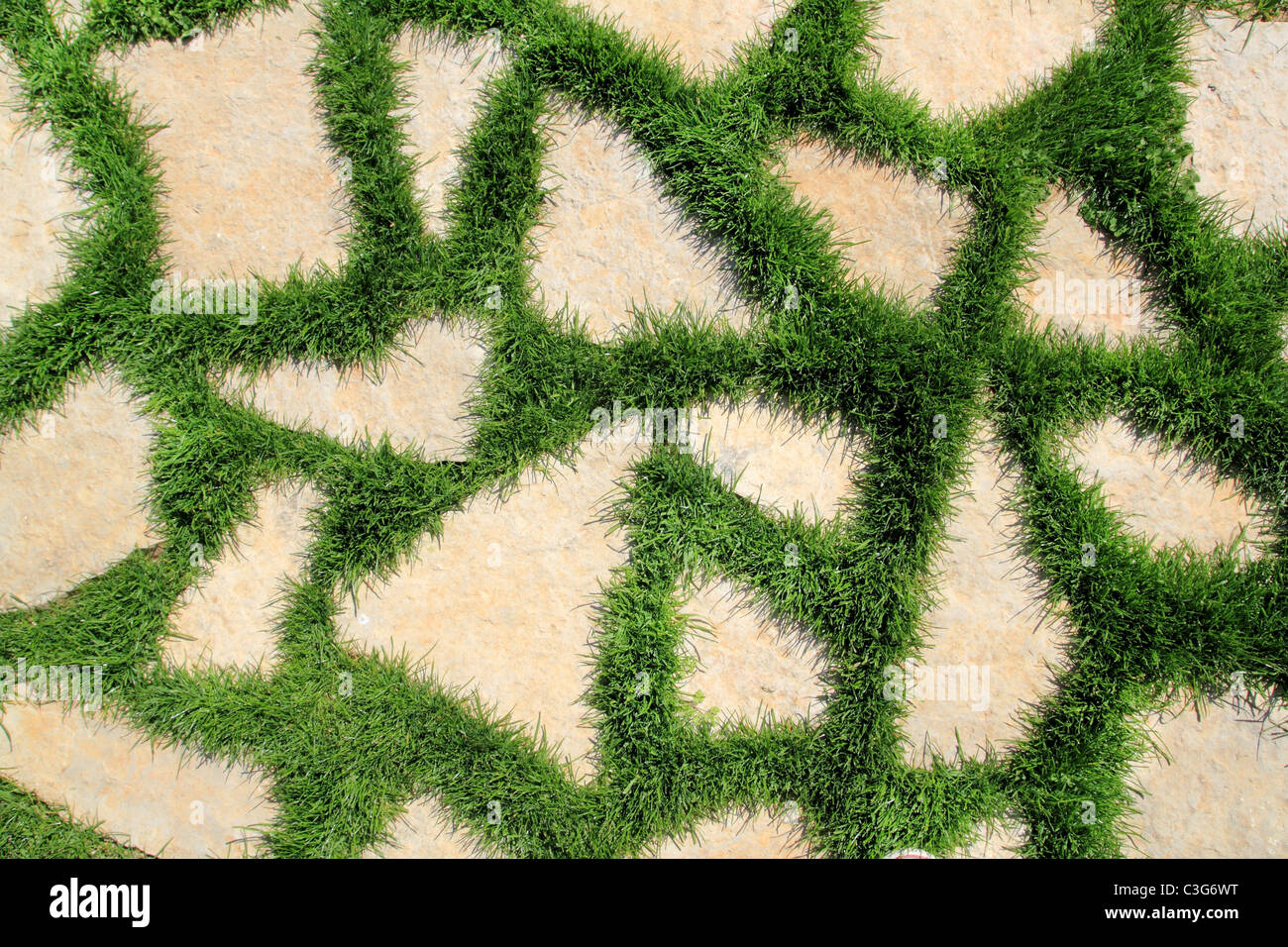 stone path in green grass garden texture elevated view Stock Photo Alamy