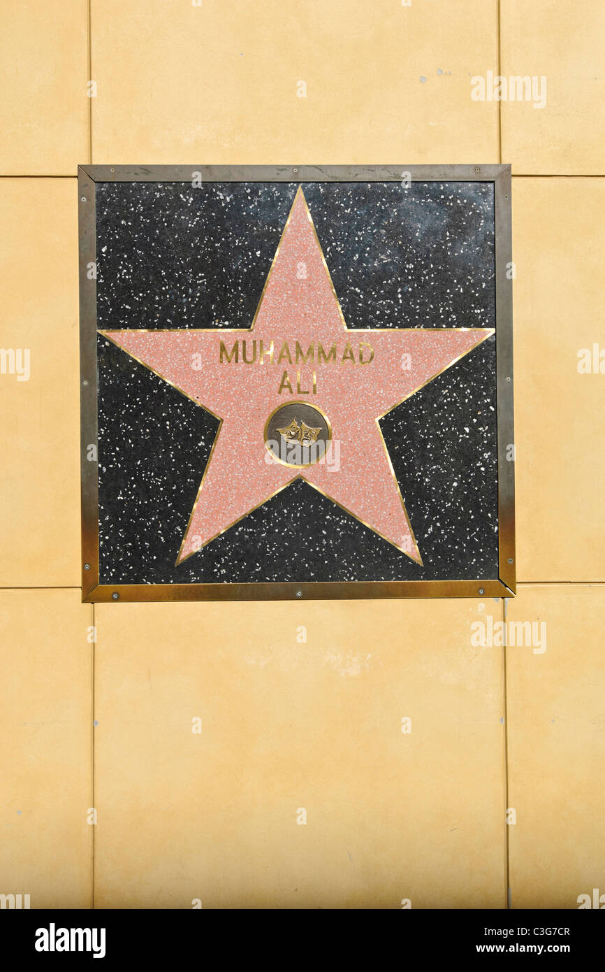 The world famous Hollywood Walk of Fame Stock Photo - Alamy