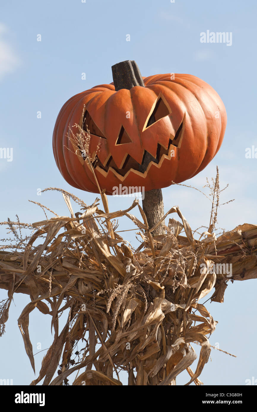 Pumpkin Scarecrow Hi Res Stock Photography And Images Alamy