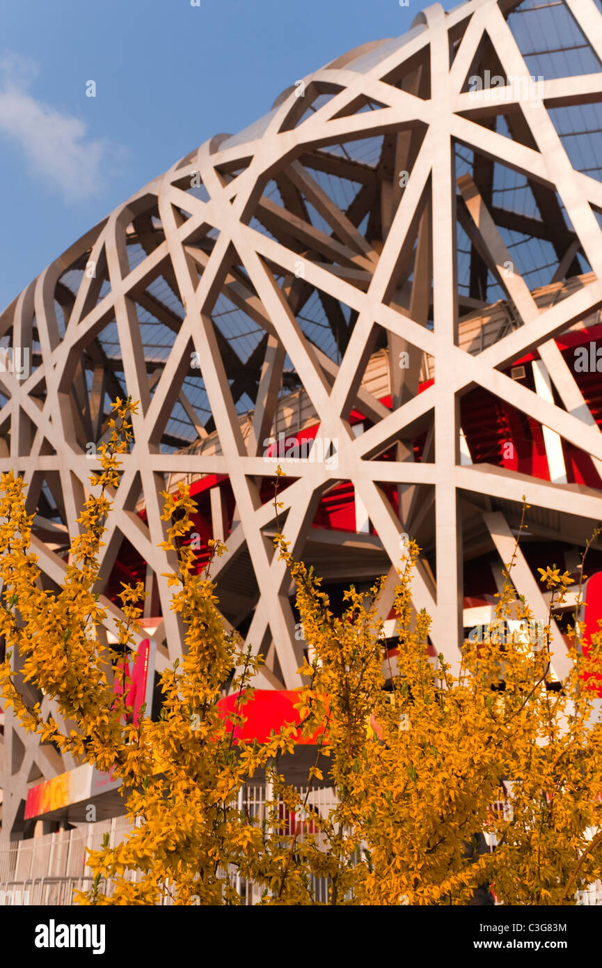 Bird's Nest National Stadium by architects Herzog and De Meuron, 2008, Olympic Green, Beijing, China, Asia. Stock Photo