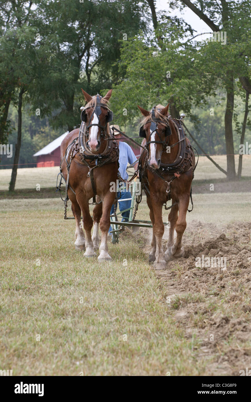 Man plowing field hires stock photography and images Alamy