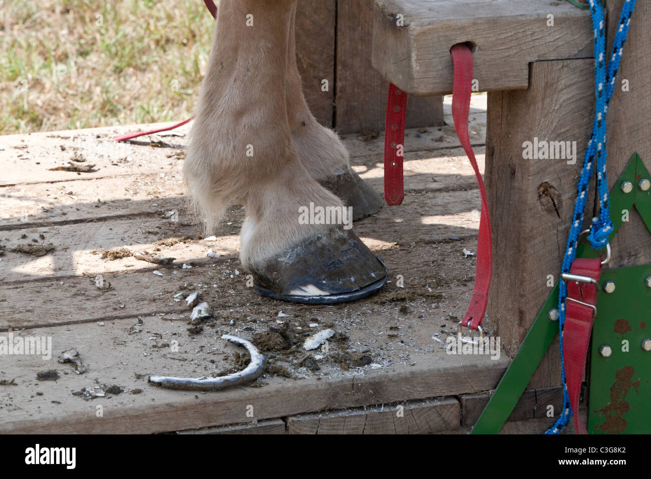 Shod hires stock photography and images Alamy