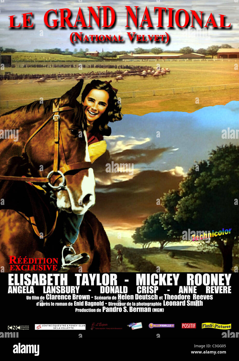 National Velvet Year : 1944 USA Director : Clarence Brown Elizabeth Taylor Movie poster (Fr) Stock Photo