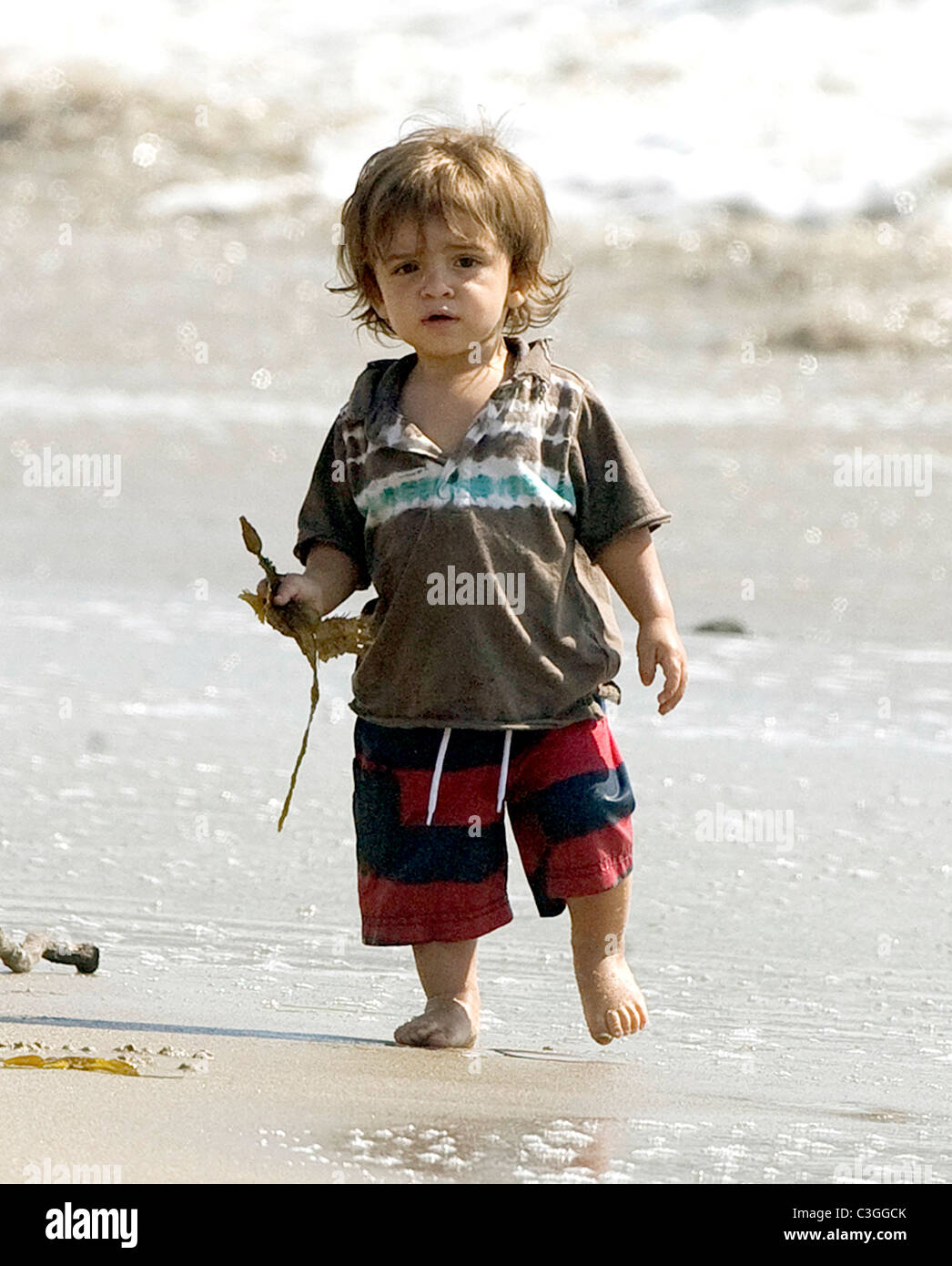 Levi McConaughey plays with his father and his dogs on a beach in